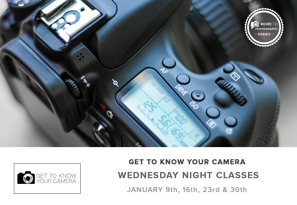 Get To Know Your Camera - Part 1 (January 2019)