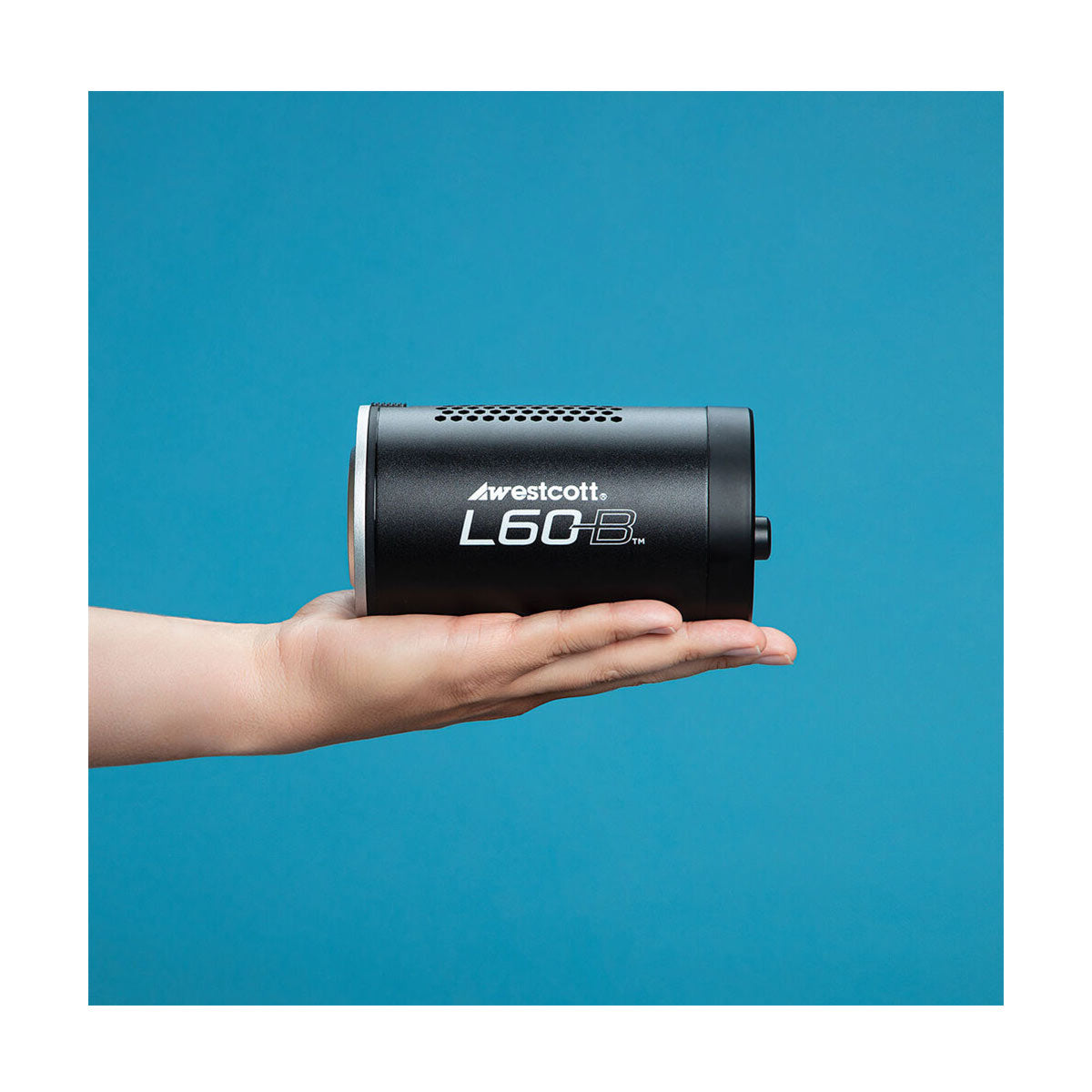 Westcott L60-B Bi-Color COB LED 1-Light Backpack Kit