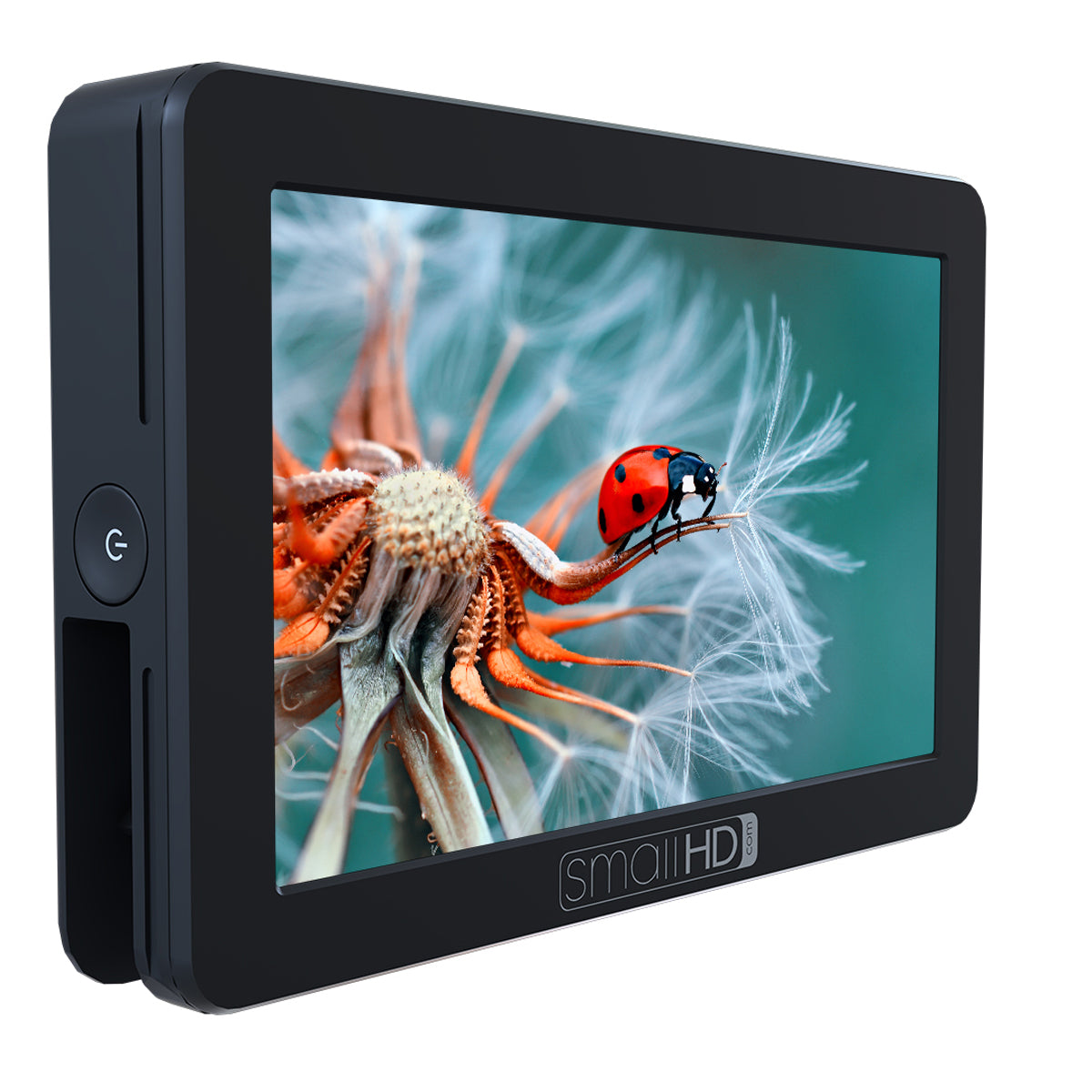SmallHD FOCUS 5” Touchscreen with Panasonic BLF19 Bundle