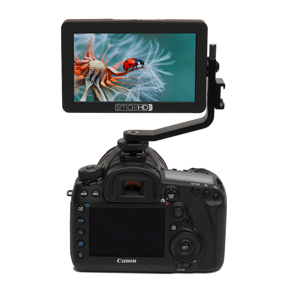 SmallHD FOCUS 5” Touchscreen with Panasonic BLF19 Bundle