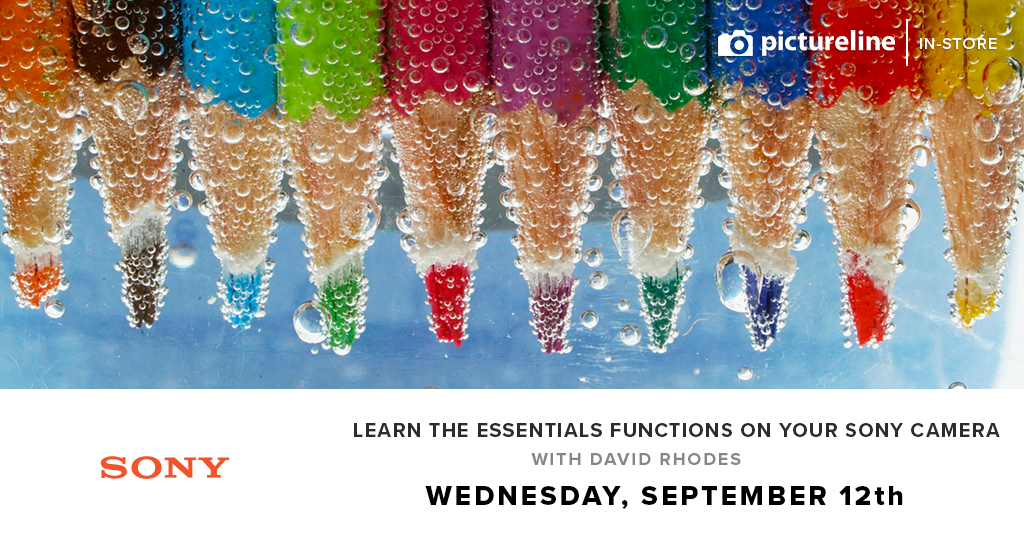 Learn the Essential Functions of Your Sony Interchangeable Lens Camera with David Rhodes (September 12th, Wednesday)