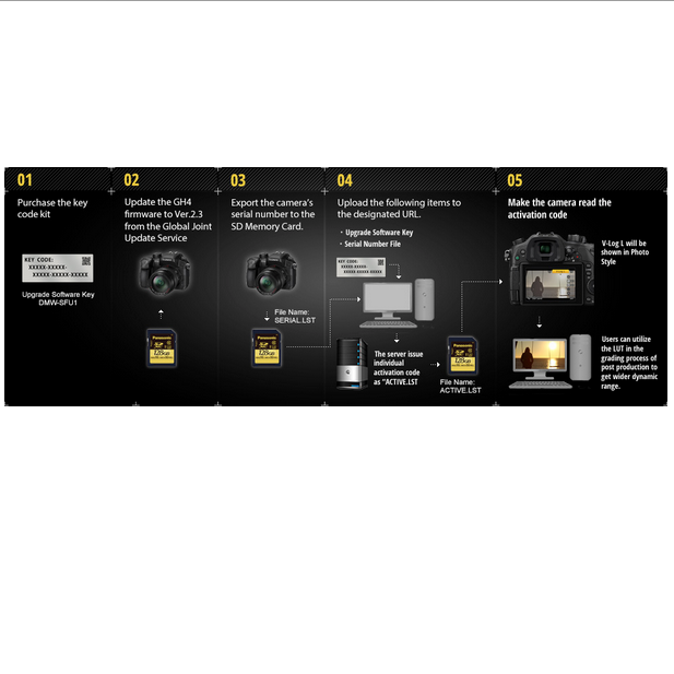 Panasonic V-Log L Function Activation Code for Lumix DMC-GH4, camera mirrorless cameras, Panasonic - Pictureline - 2