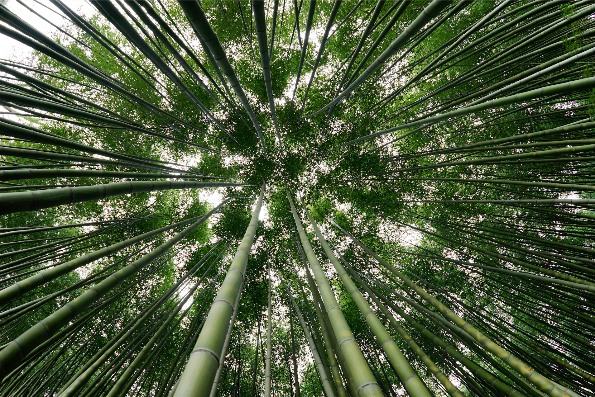 Sony 16mm Fisheye Converter for FE 28mm f/2 Lens, lenses optics & accessories, Sony - Pictureline  - 7