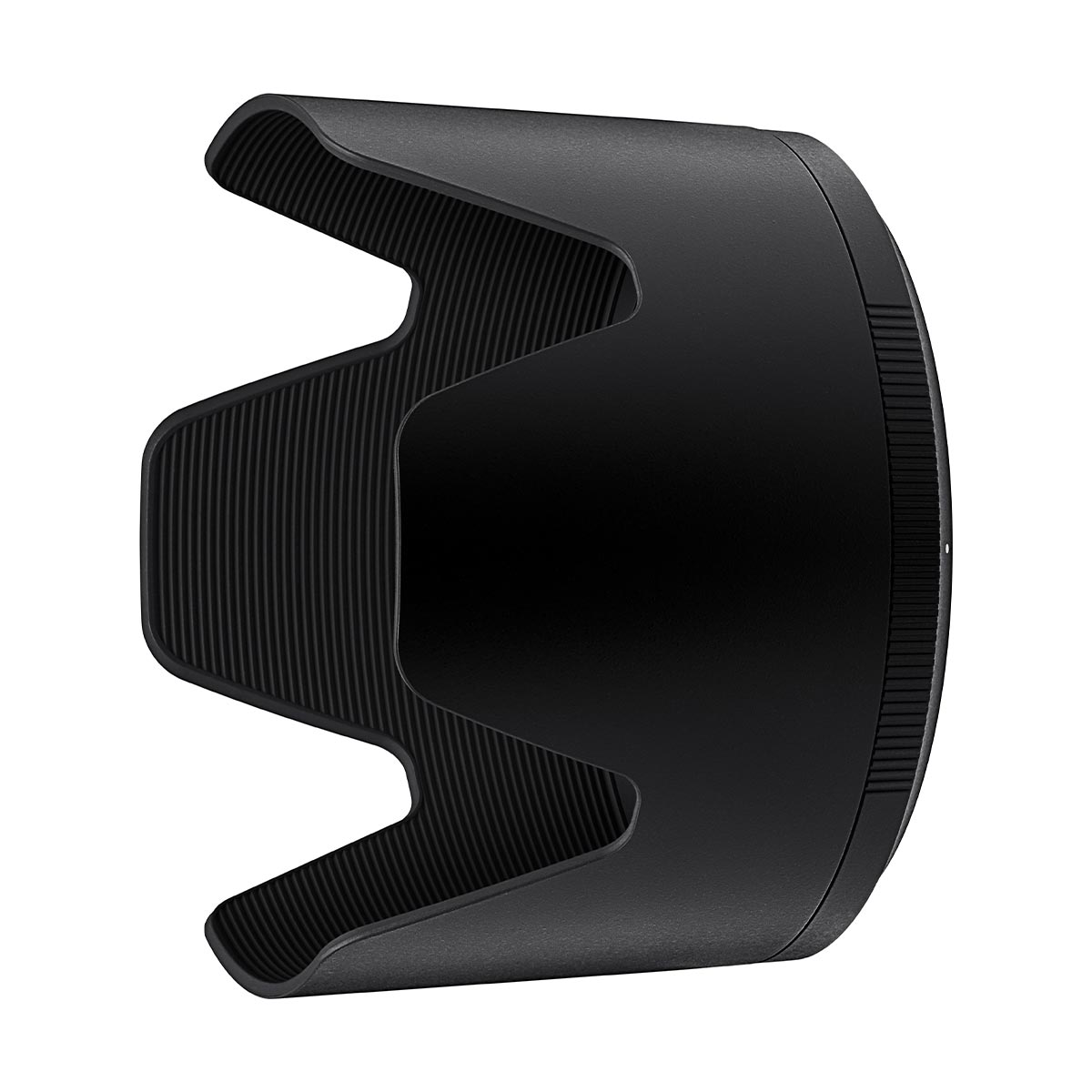 Nikon Z 100-400mm f/4.5-5.6 S Lens