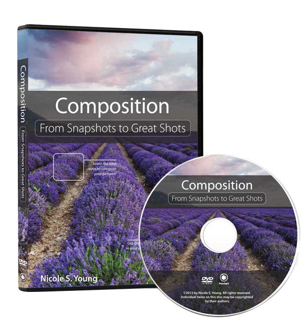 DVD: Composition: From Snapshots to Great Shots, lighting studio books & dvds, Chuck Newell - Pictureline