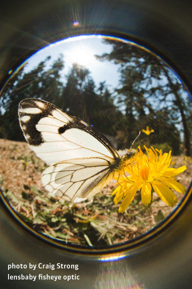 Lensbaby Fisheye Optic, discontinued, Lensbabies - Pictureline - 6