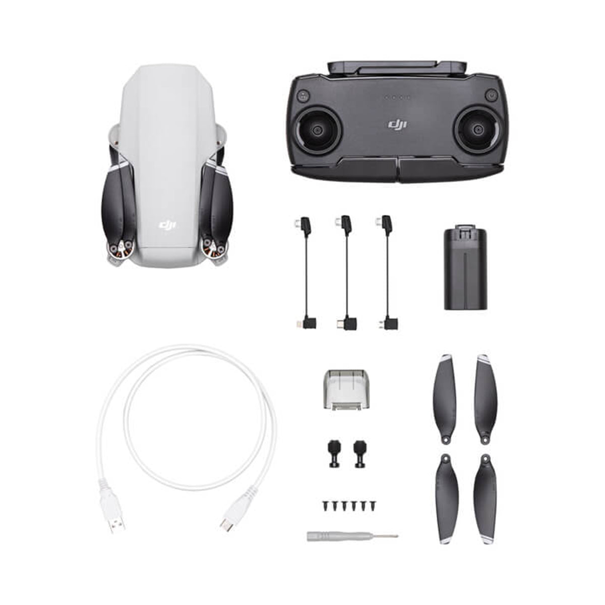 DJI Mavic Mini Drone