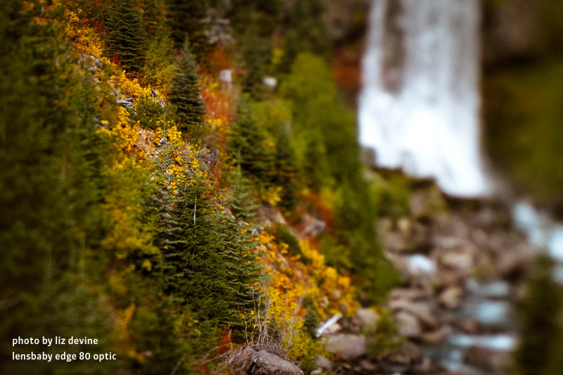 Lensbaby Edge 80 Optic, lenses optics & accessories, Lensbabies - Pictureline - 5