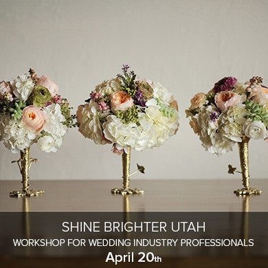Shine Brighter Utah - Workshop for Wedding Industry Professionals (April 20th), events - past, Pictureline - Pictureline 