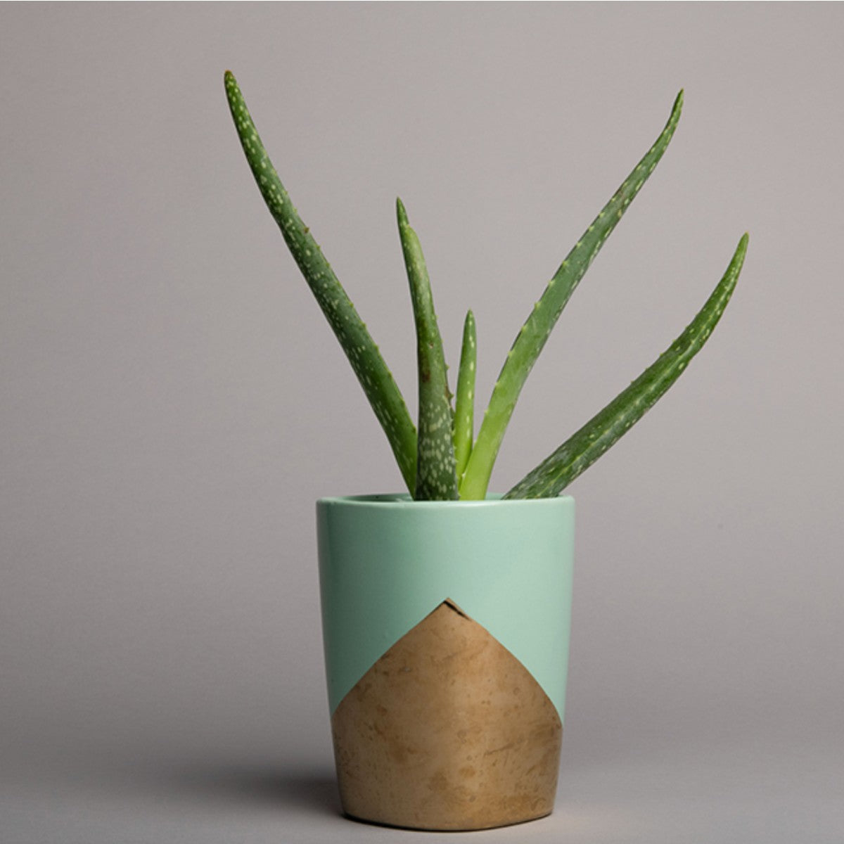 Superior Slate Grey 53"x12 Yds. Seamless Background Paper (58)