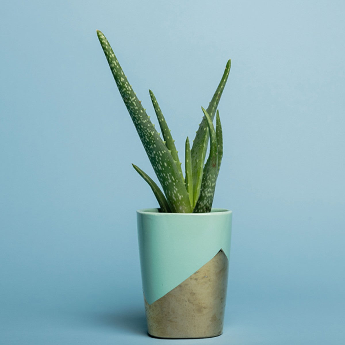 Superior Sky Blue 107"x12 Yds. Seamless Background Paper (02)