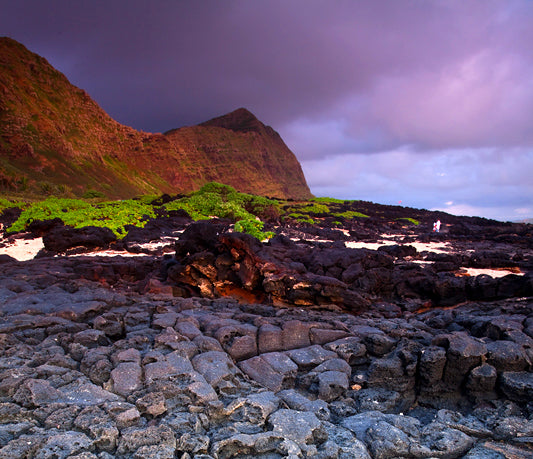 Roadside Photography - Makapu'u Beach, Oahu