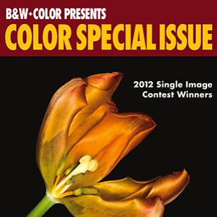 Photography Competitions - Spring 2012
