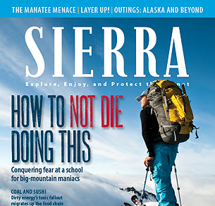 Photographic Insights from Sierra Magazine's Art Director, Tracy Cox