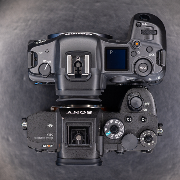 compare canon r5 and sony a7riv