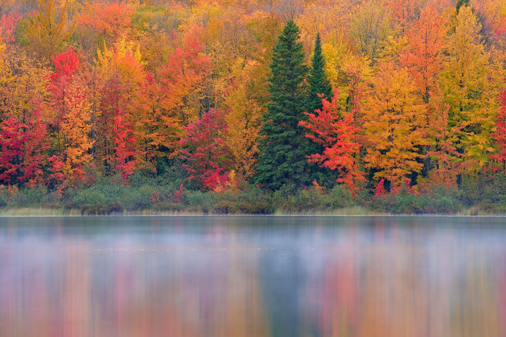 10 Tips for Photographing Autumn Foliage