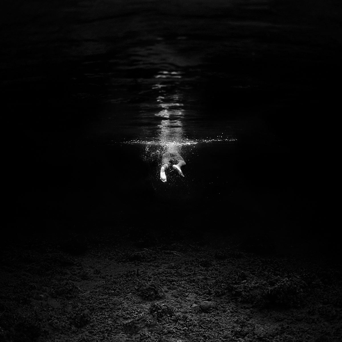 Hengki Koentjoro's Black and White Underwater Photography