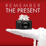pictureline holiday campaign 2011: Remember the Present
