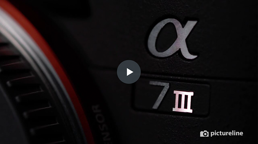 a7III vs a7RIII: Which One is Your Next Camera?