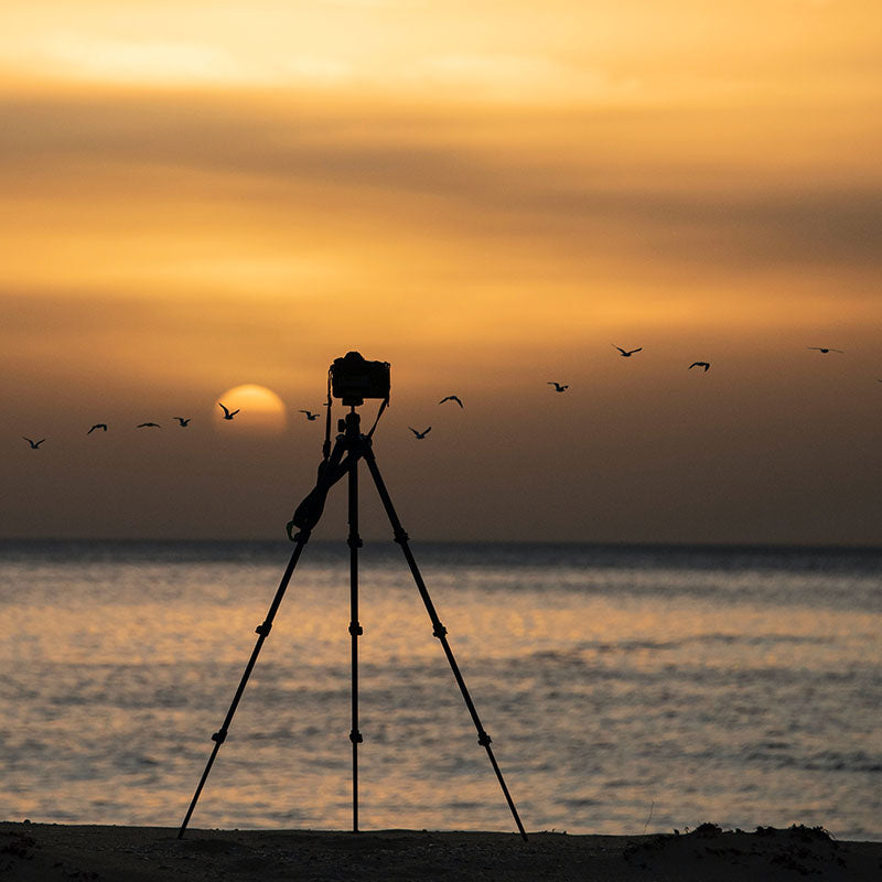 How to Choose the Right Tripod