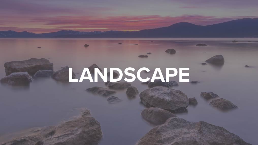 Landscape Guide