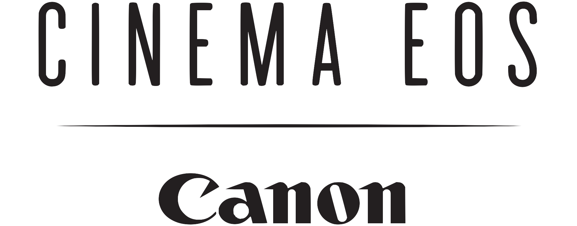 Canon DV