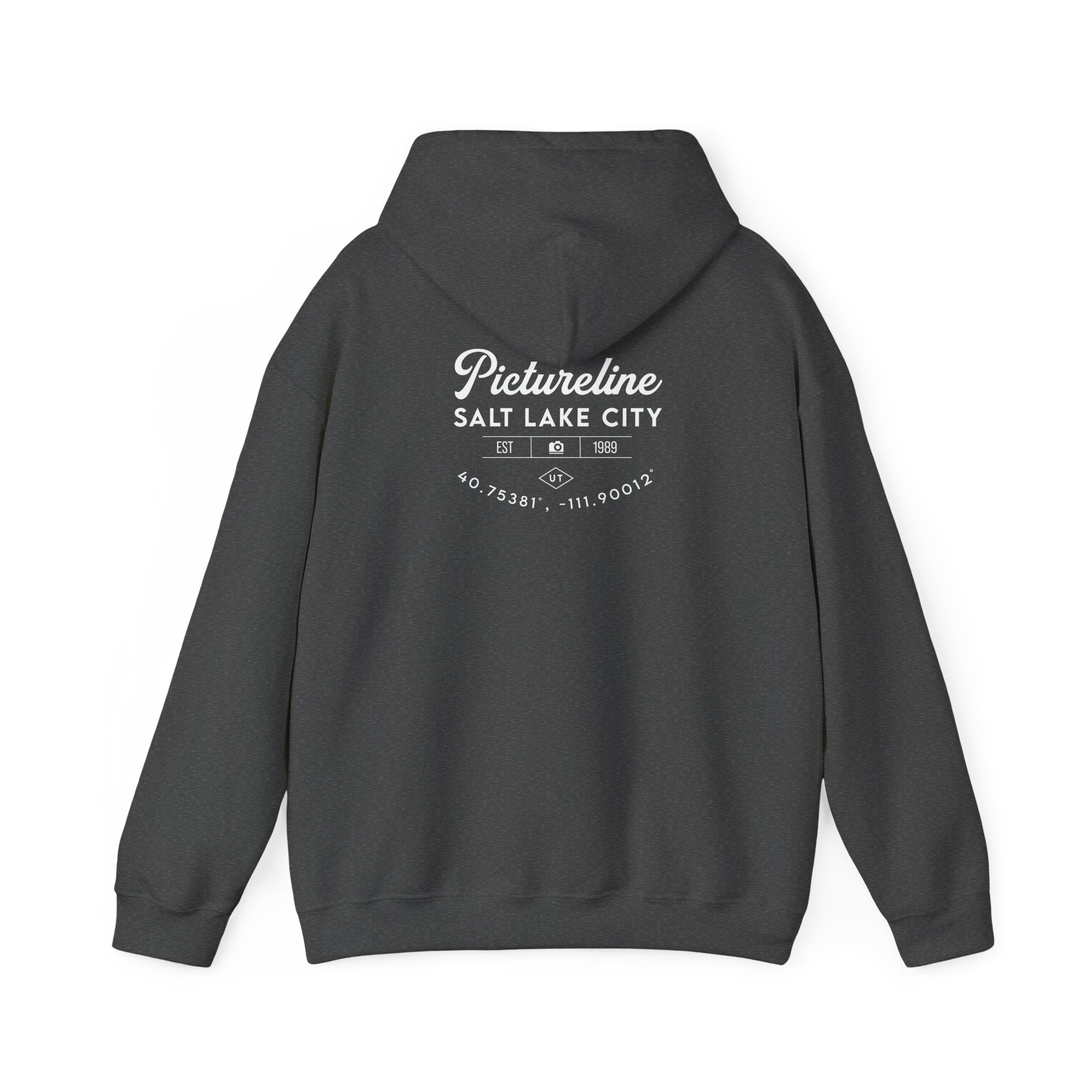 Old School Pictureline Unisex Hooded Sweatshirt (Back)