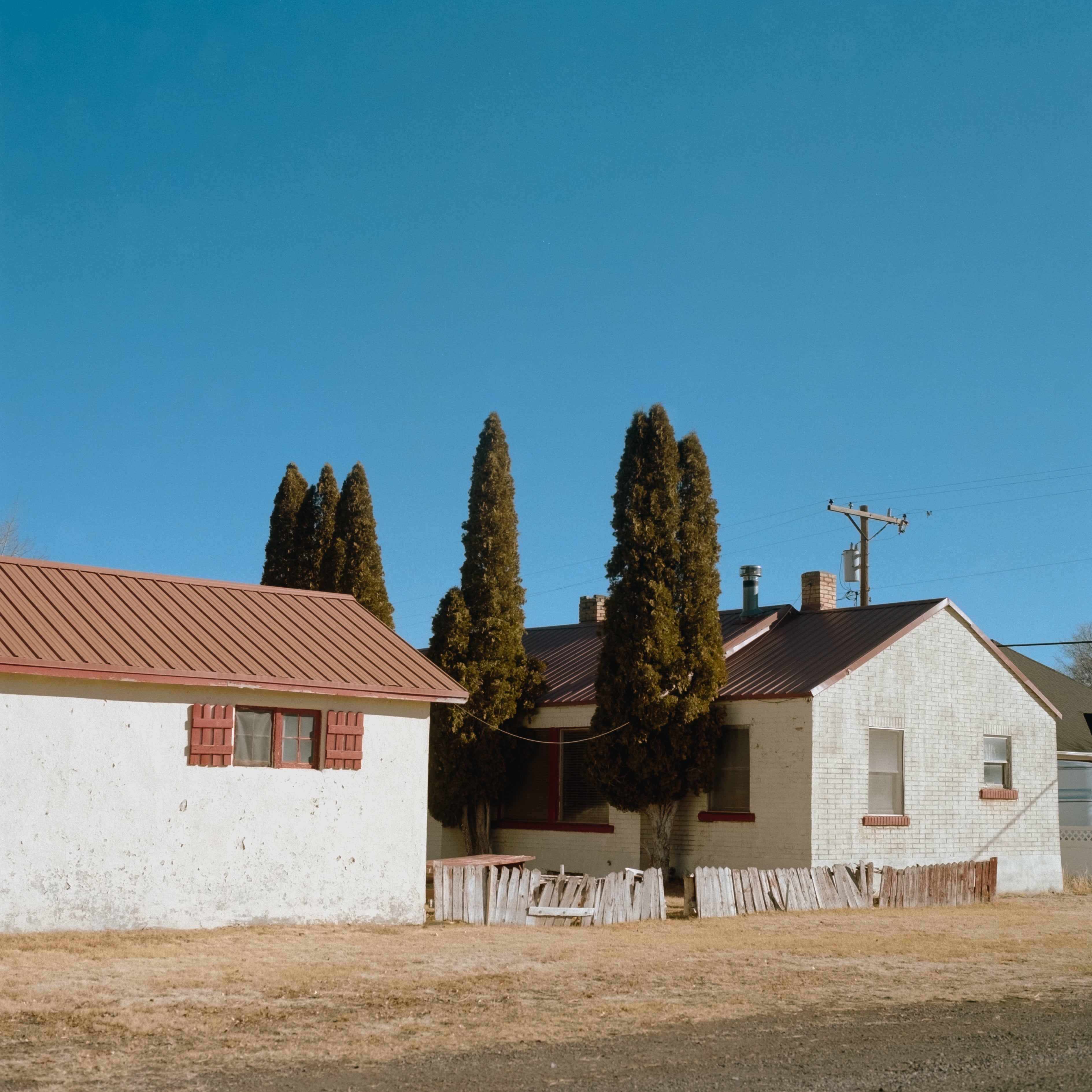Kodak Portra 160 120 Color Negative Film (One Roll)