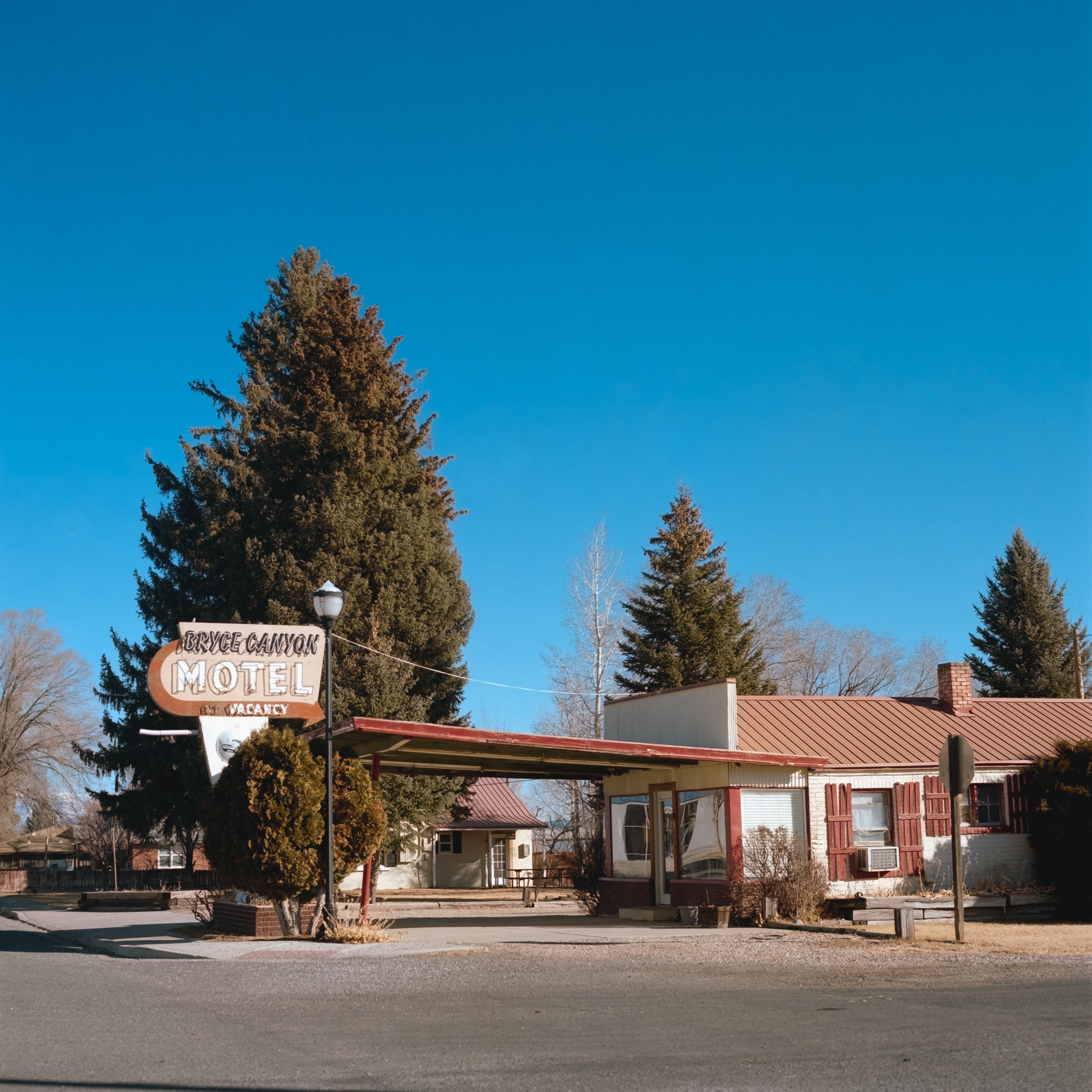 Kodak Portra 160 120 Color Negative Film (One Roll)