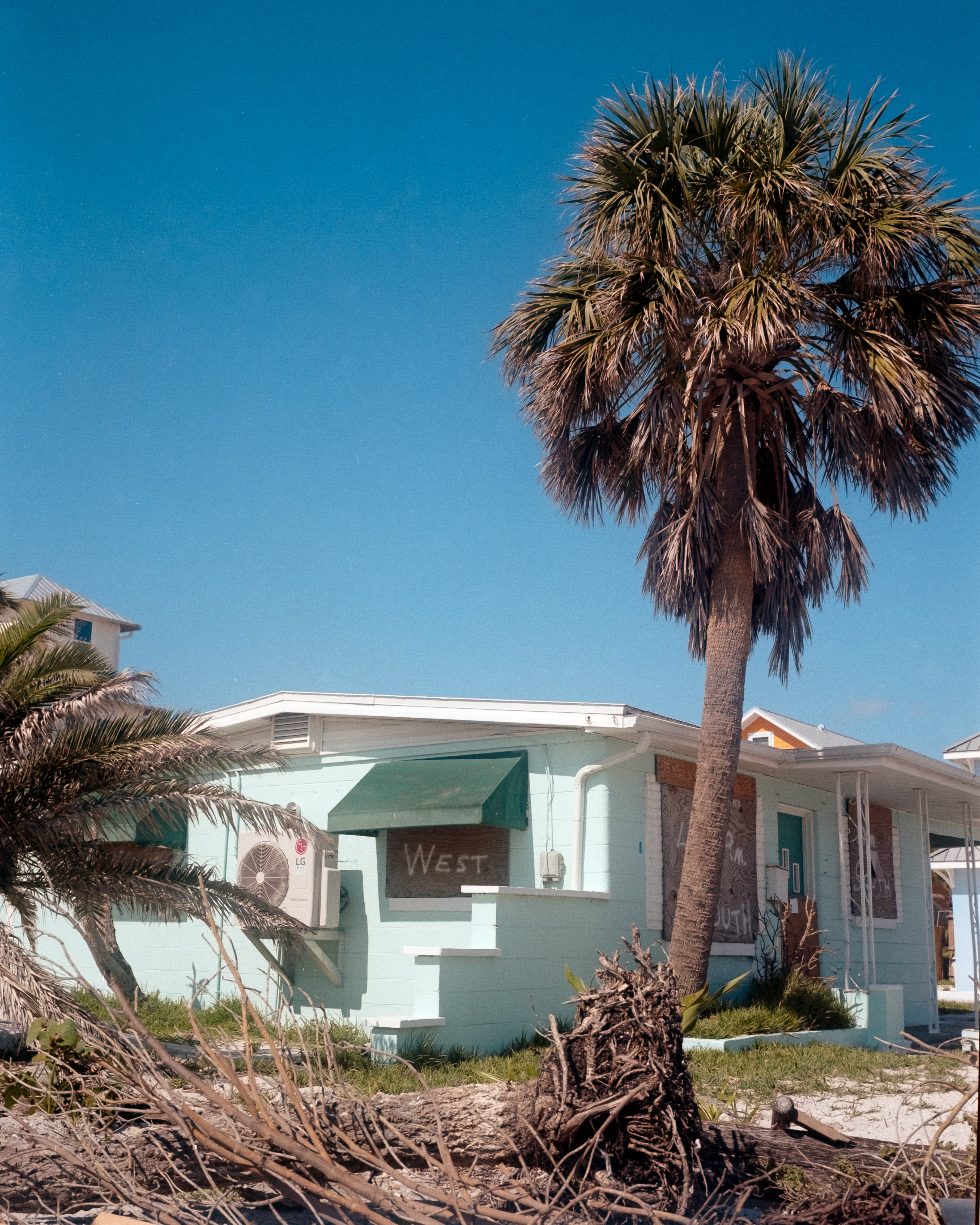 Kodak Portra 160 120 Color Negative Film (One Roll)