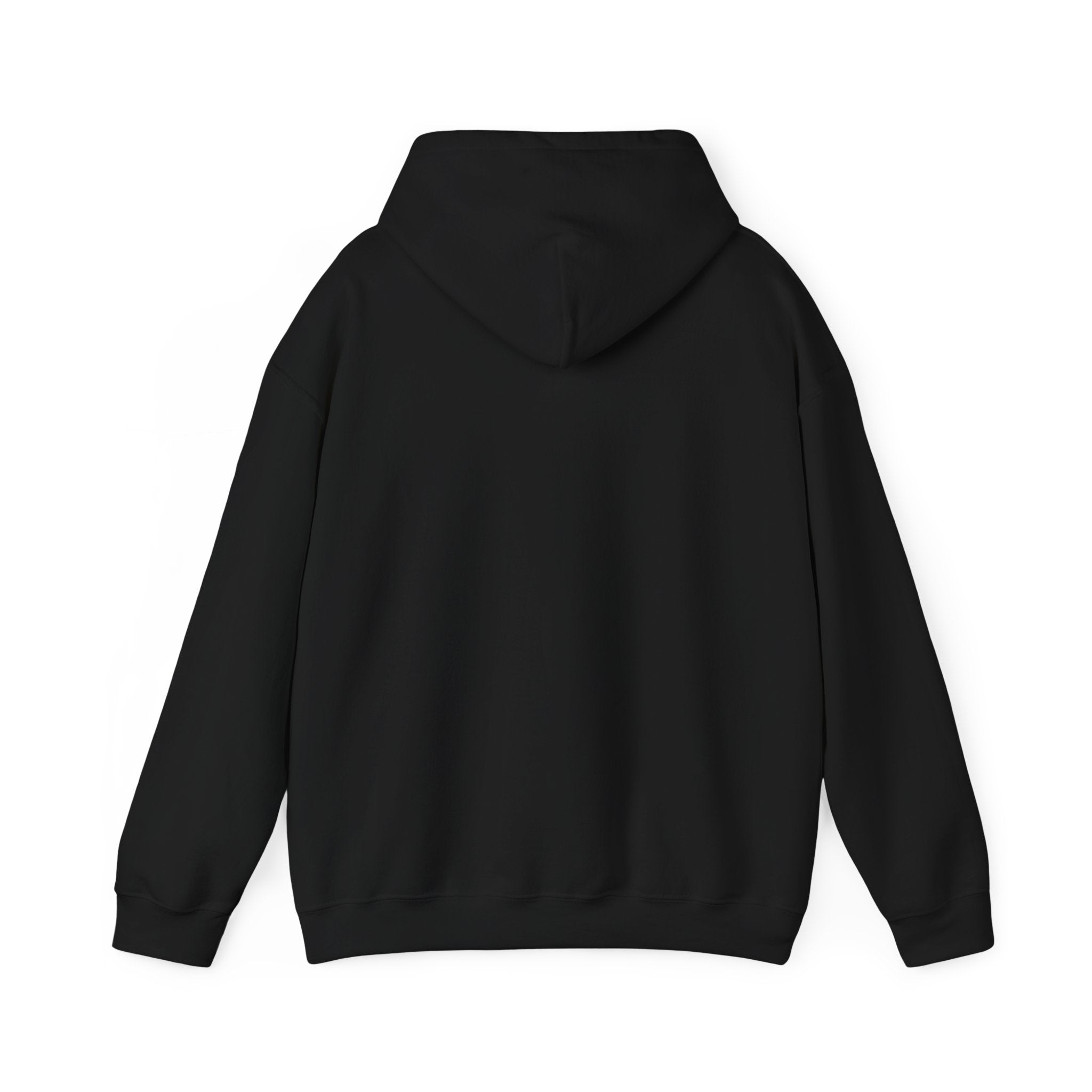 Multi-Camera Unisex Hooded Sweatshirt