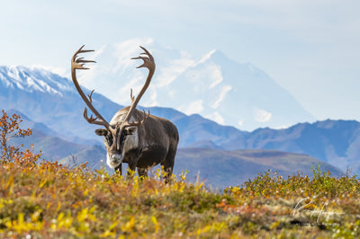 Planning for Success: Adventure Photography