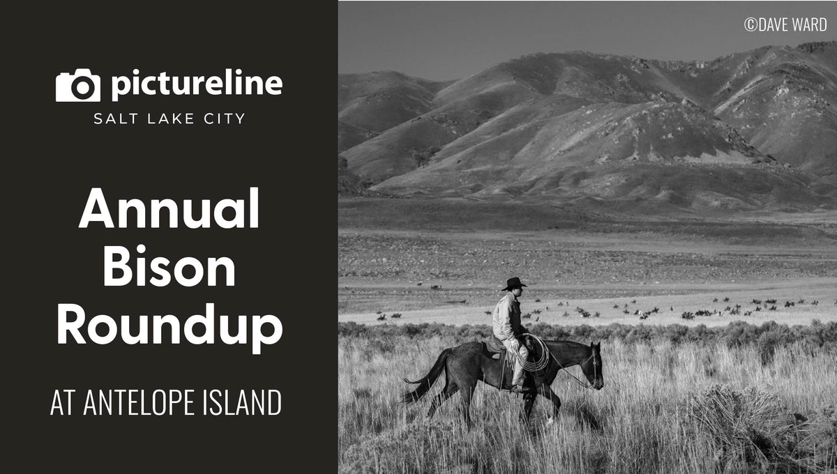 Bison Roundup at Antelope Island State Park—October 24th, 2026