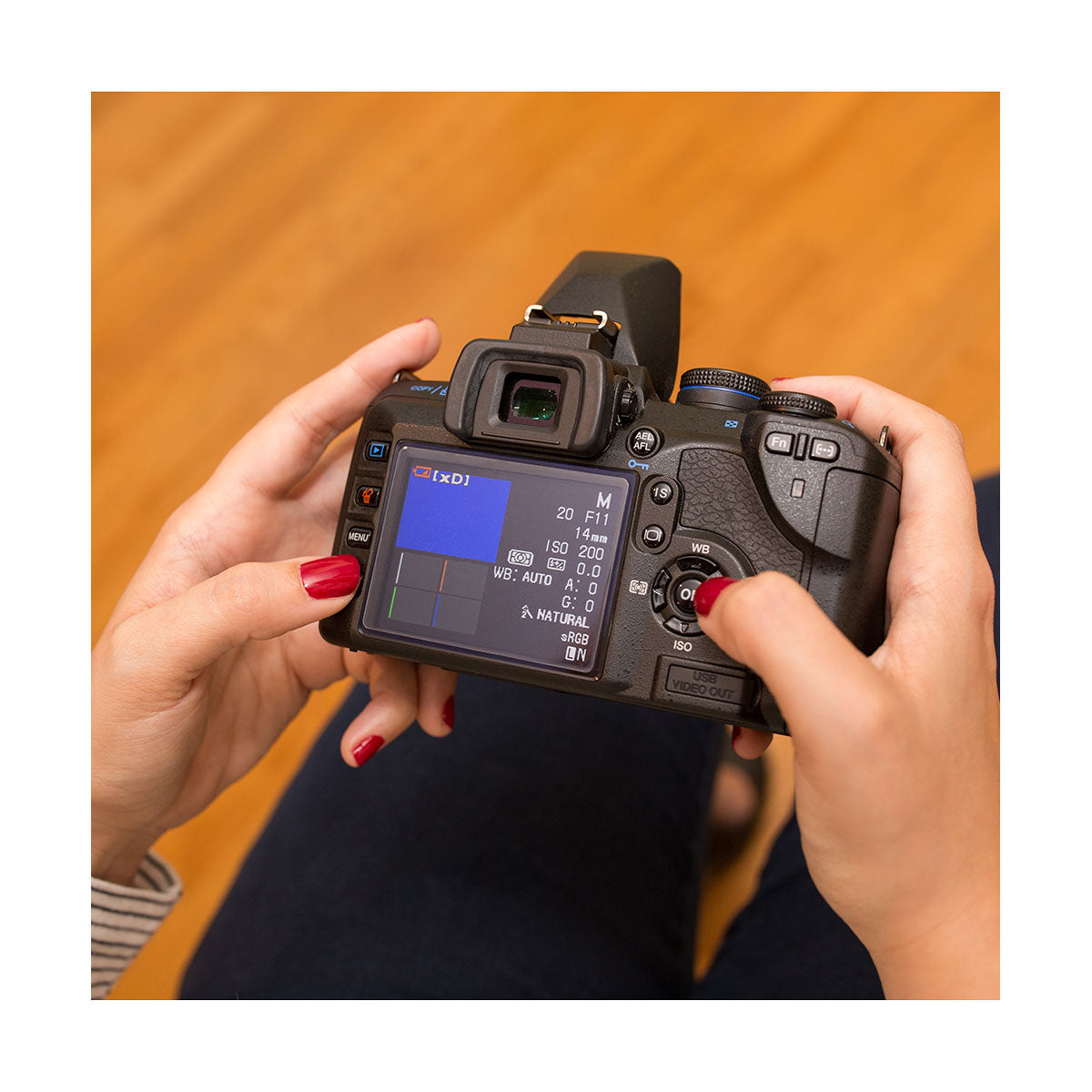 ProMaster Crystal Touch Screen Shield - Sony A7R V