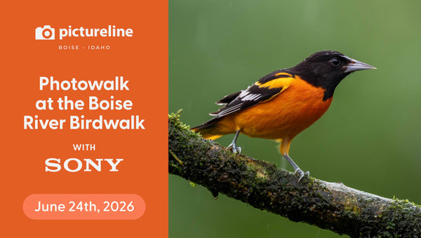 Boise - Bird Photography at the Boise River Birdwalk—June 24th, 2026
