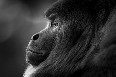 From Basic to Pro Camera Settings for Photographing Nature’s Awesomeness
