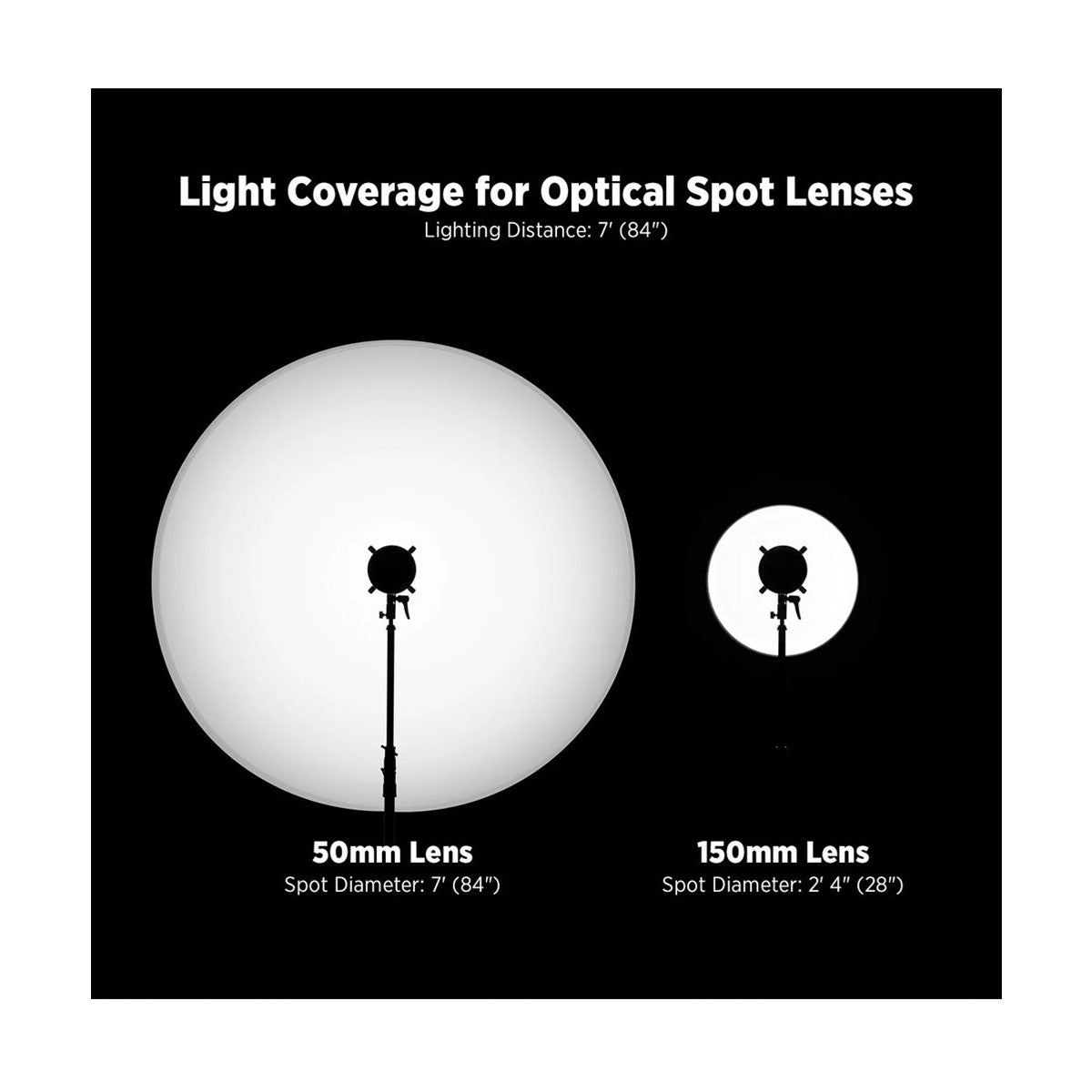 Westcott Optical Spot by Lindsay Adler (Bowens, 50mm f/1.4 Lens)