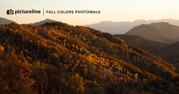 Capture the Fall Colors -Saturday  Oct 5th, 2024