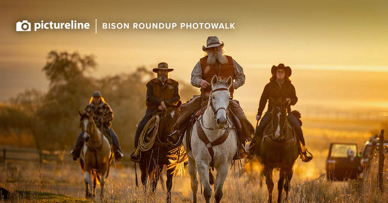 Bison Roundup at Antelope Island State Park - Oct 25th, 2025