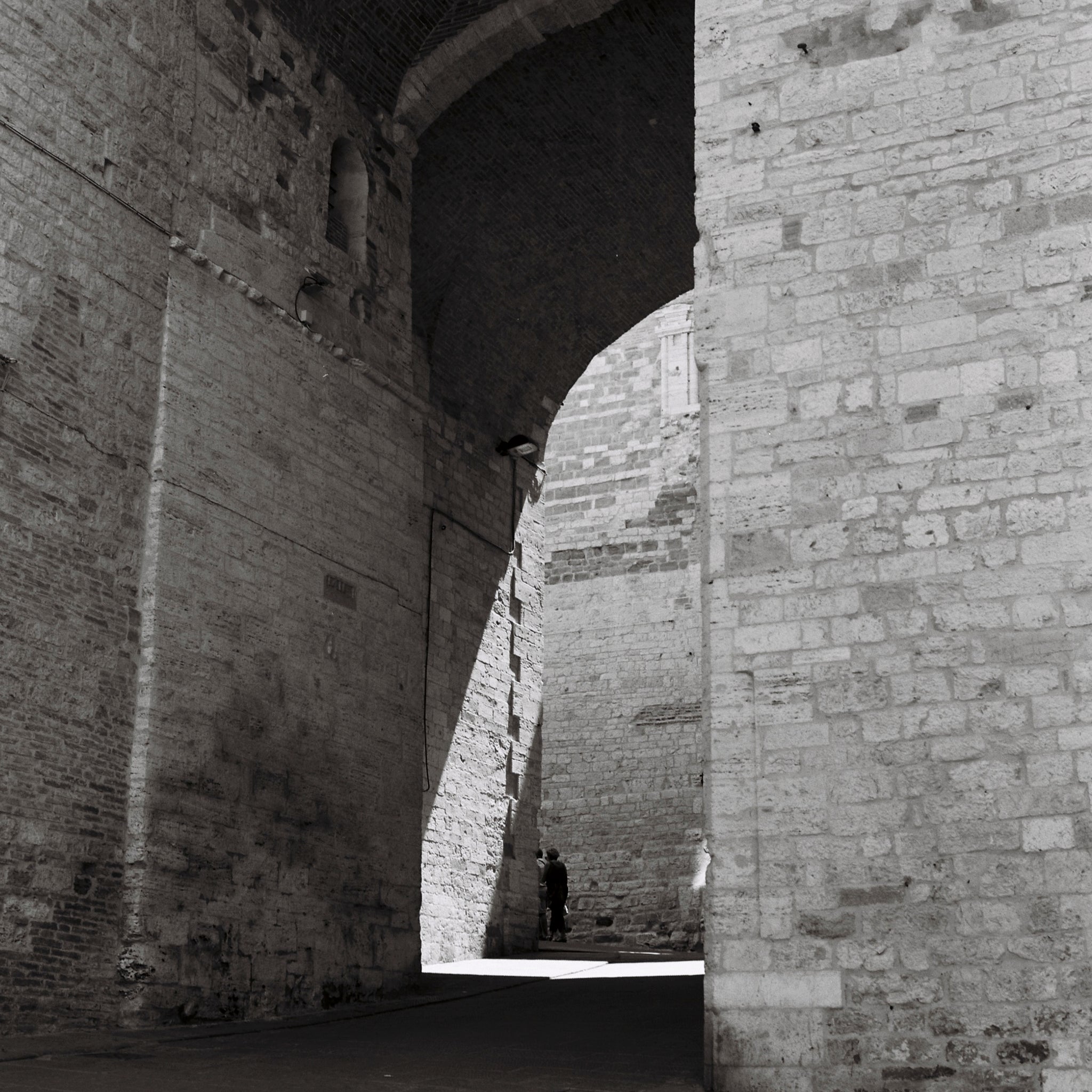 Kodak TMAX 100 120 B&W Film (One Roll)