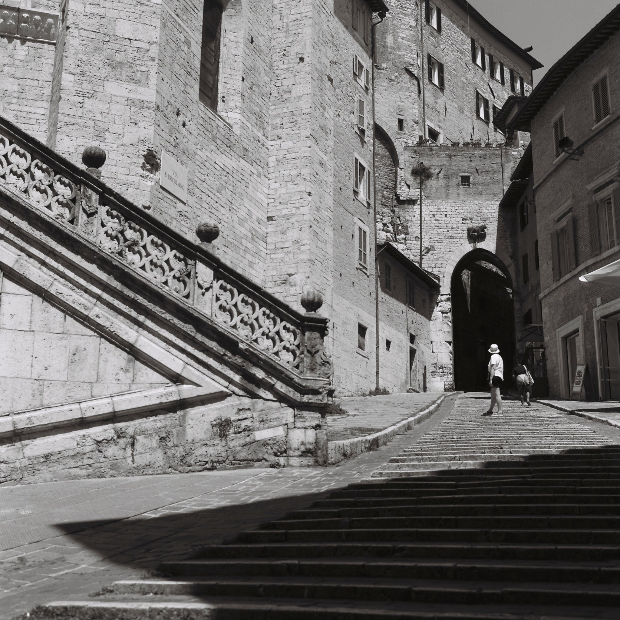 Kodak TMAX 100 135-36 B&W Film (One Roll)