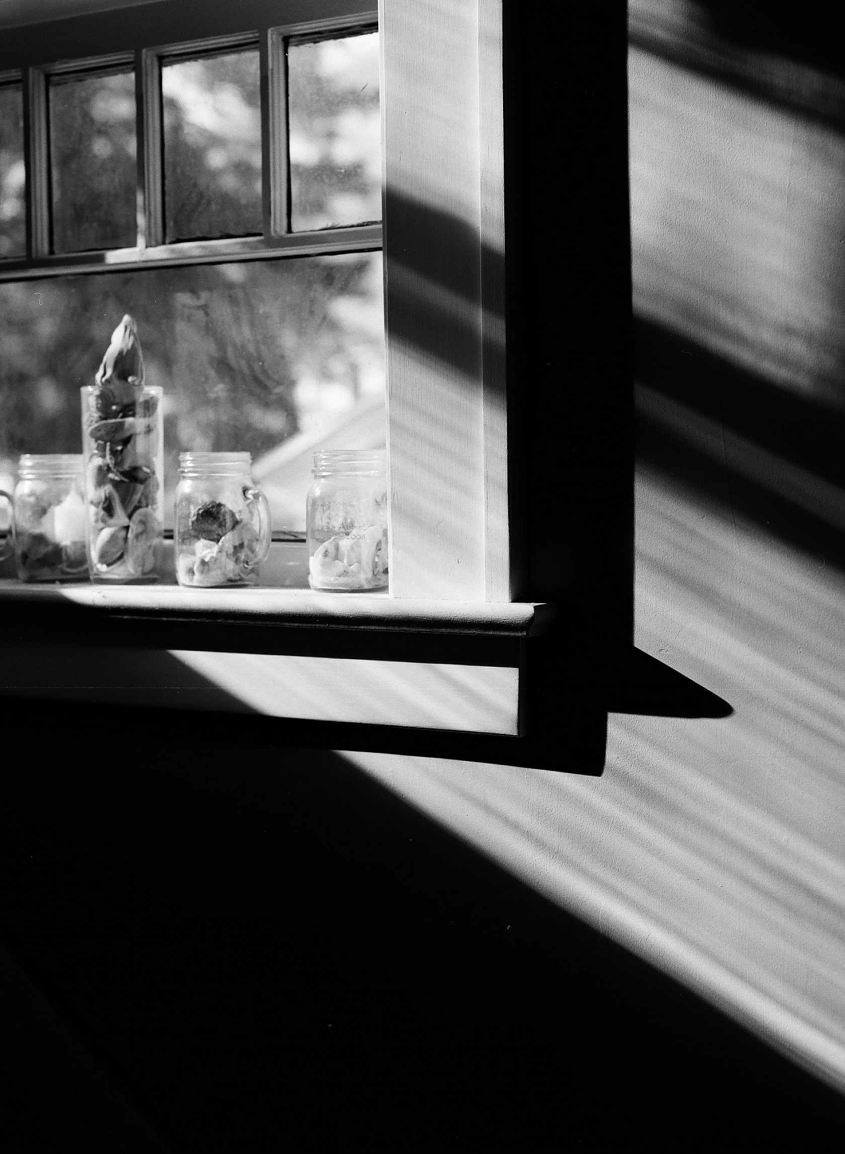 Kodak Ektapan 100 135-36 Film