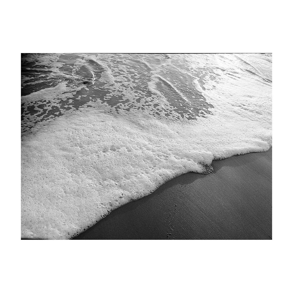 Kodak Tri-X 320 B&W 4x5 Film (10 Sheets)