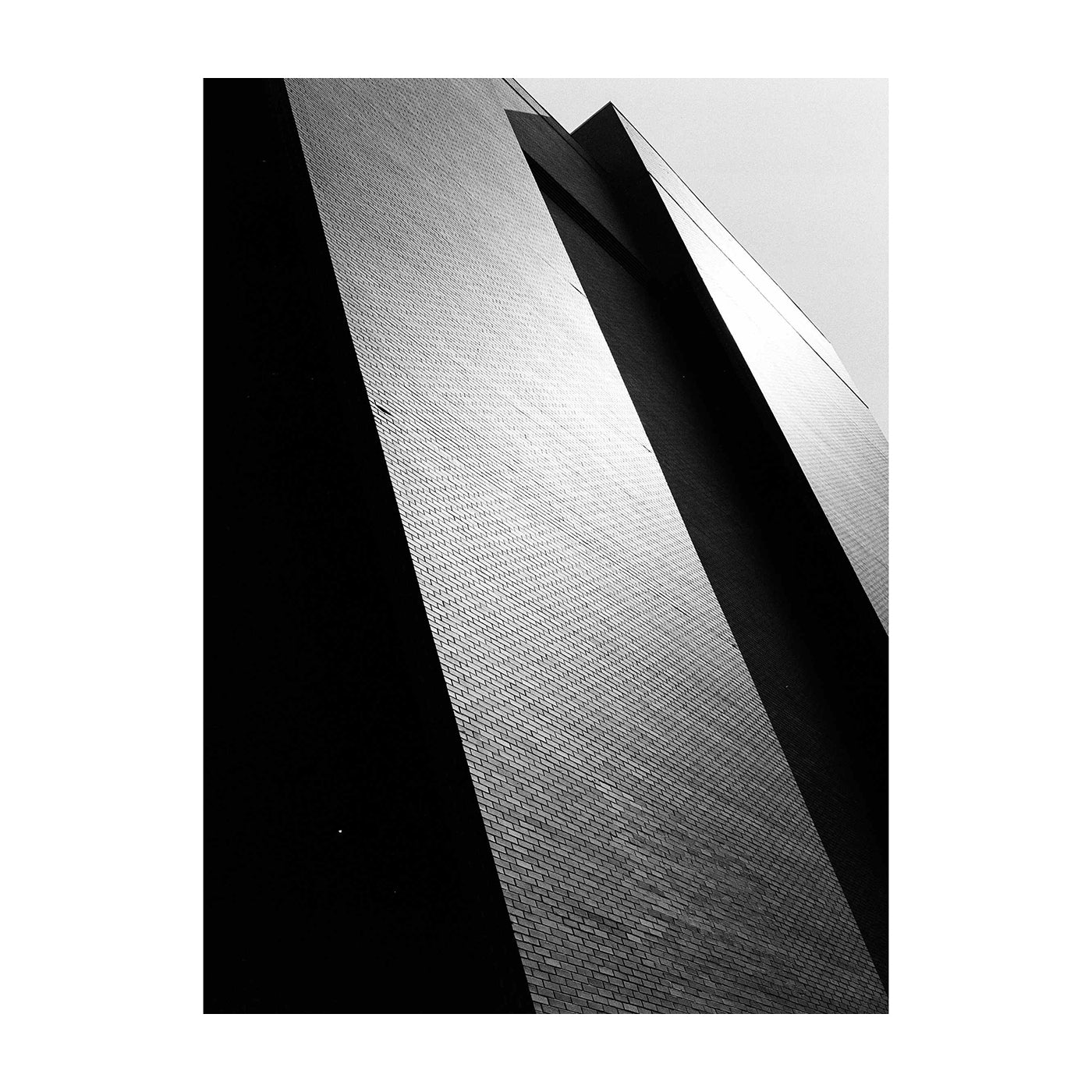 Kodak Tri-X 320 B&W 4x5 Film (10 Sheets)