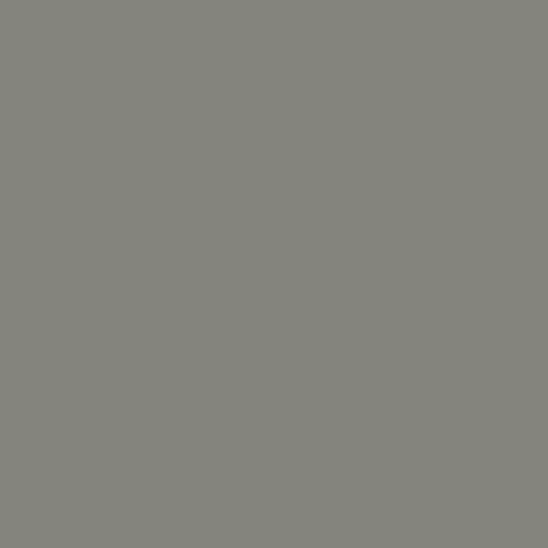 Superior Neutral Grey 53"x12 Yds. Seamless Background Paper (04)