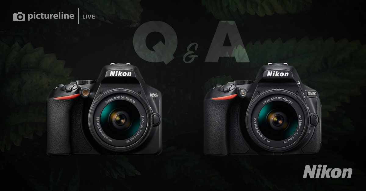 Virtual Nikon Days: D3500 & D5600 (Online, Thursday June 11, 2020)