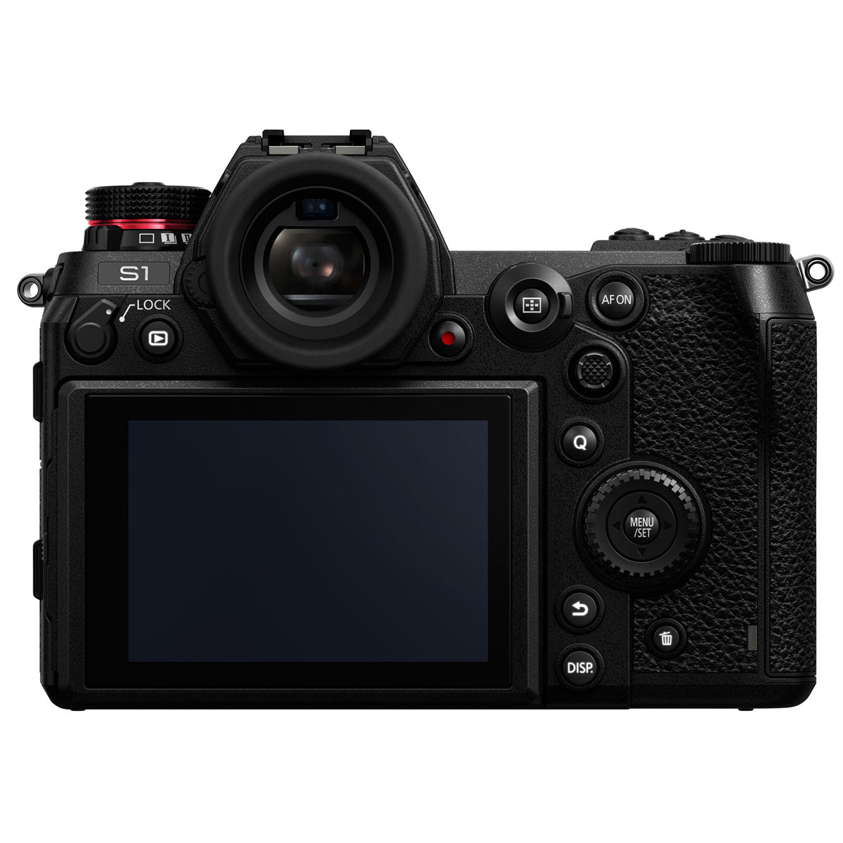 Panasonic Lumix S1 Mirrorless Camera Body with 24-105mm f/4 Lens
