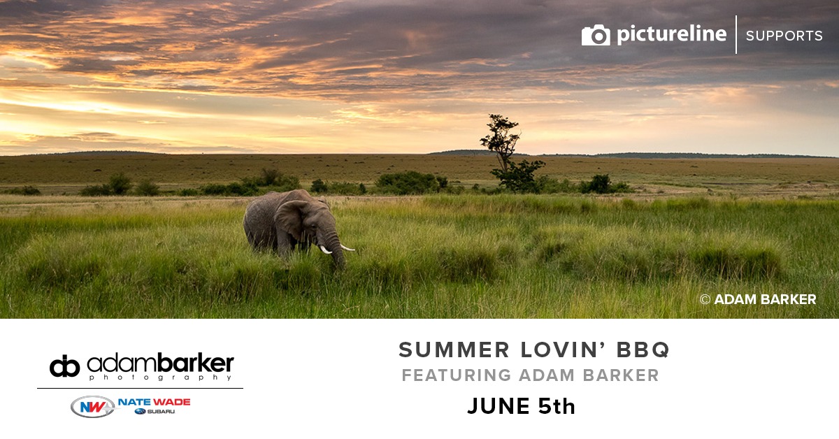 Summer Lovin' BBQ featuring Adam Barker (June 5th, Tuesday)