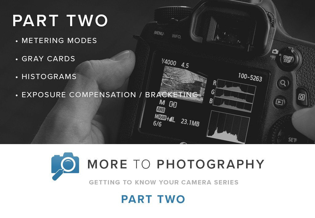 More to Photography Part Two (September 16th)