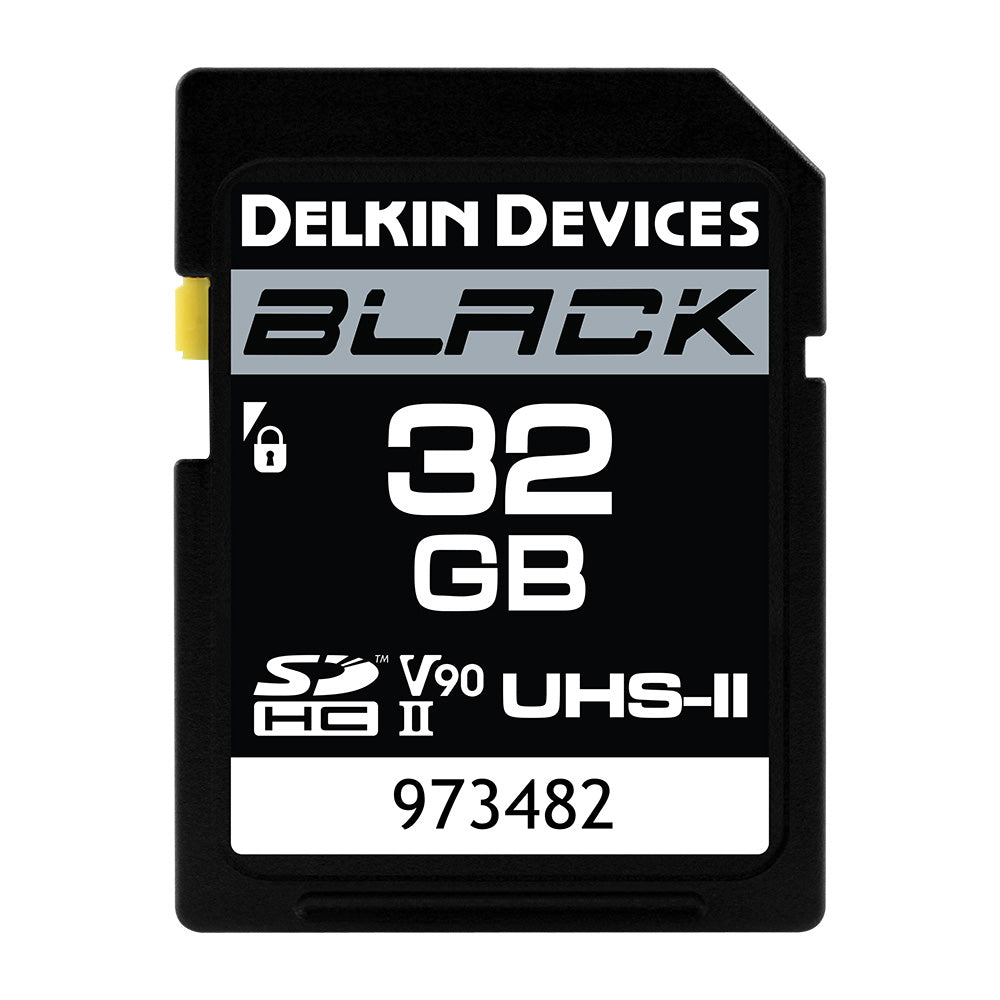Карта памяти uhs ii. SDXC UHS-II v90 300r. SD Delkin Power 250 MB/S UHS-II. Delkin 64 GB. SDXC v90 32.